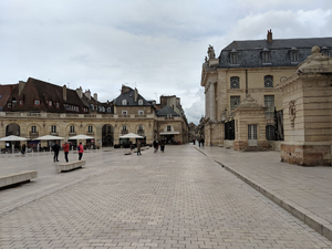 Installateur panneaux solaires Dijon